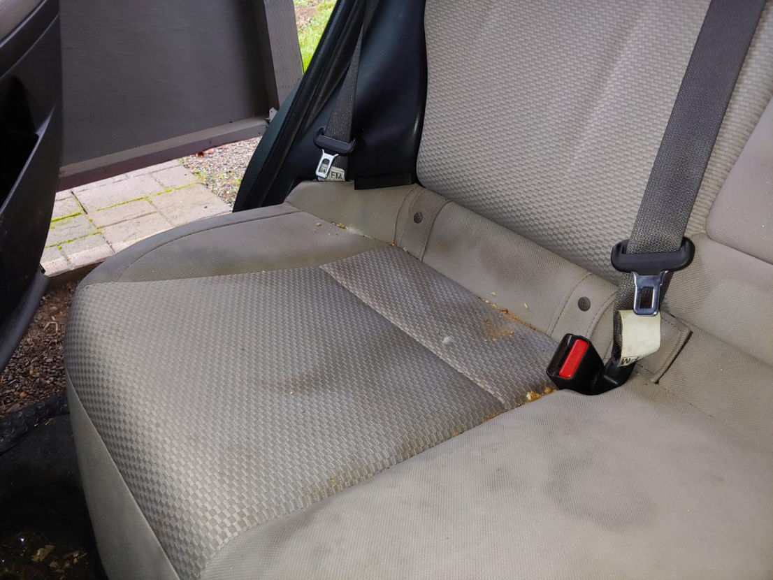 Upholstery Cleaning Before
